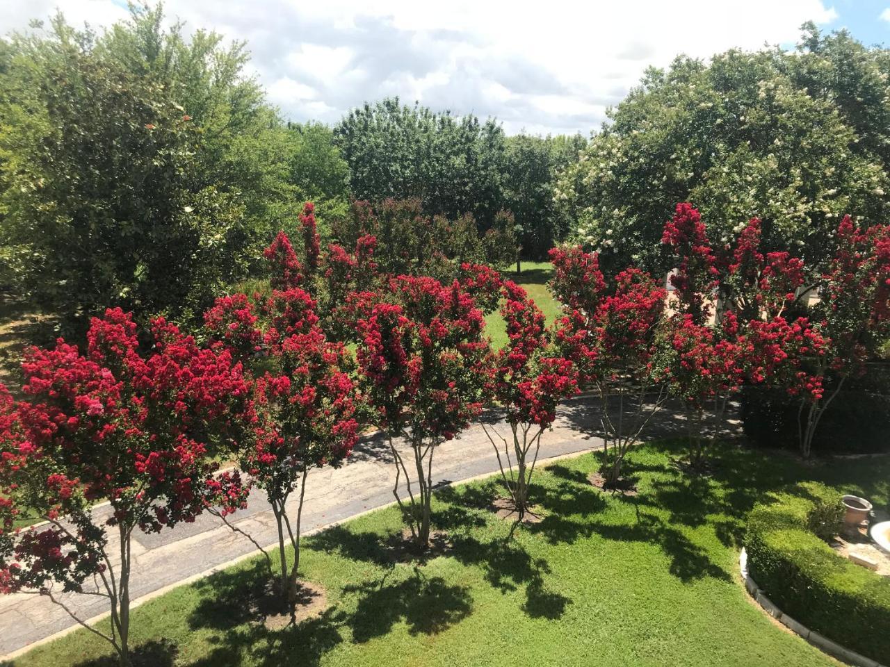 The Plantation House Boutique Inn Pflugerville Bagian luar foto